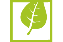 Symbol: Pflanzenblatt mit Rahmen