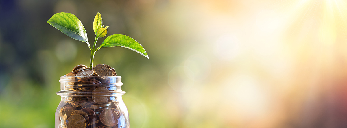 Small plant with coins in a jar