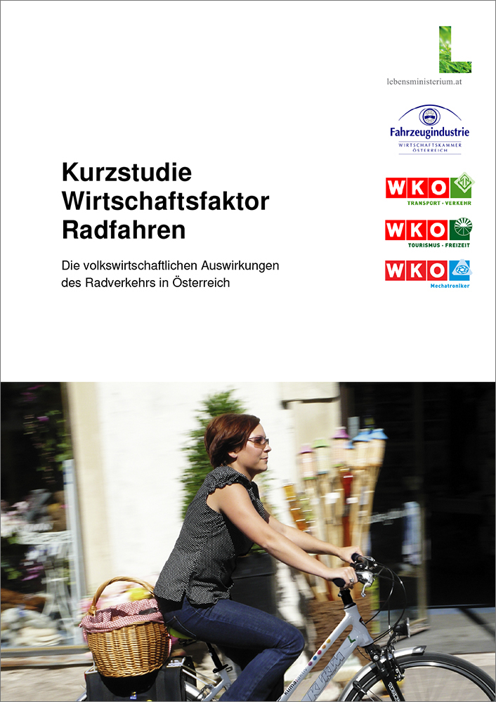 Kurzstudie "Volkswirtschaftlichen Auswirkungen"