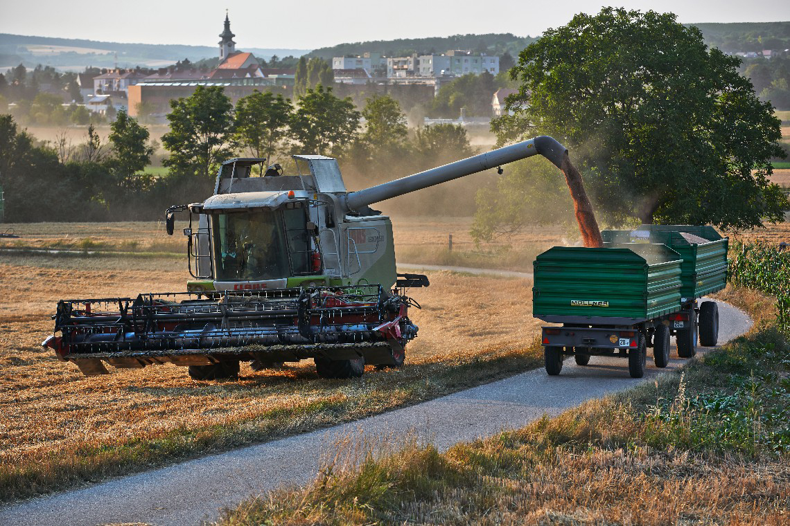 Combine harvester in the field