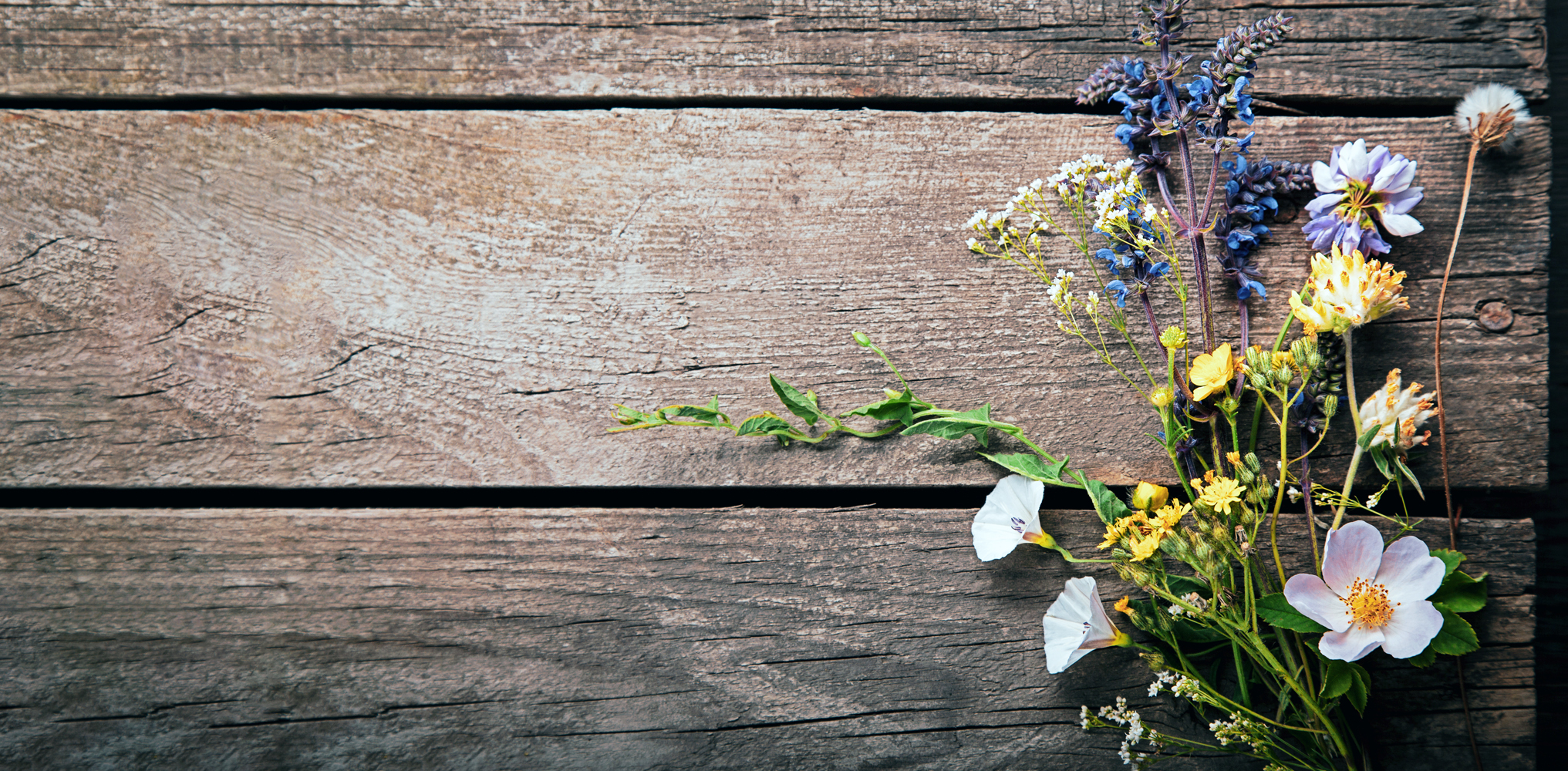 Blumen auf einem Holz liegend