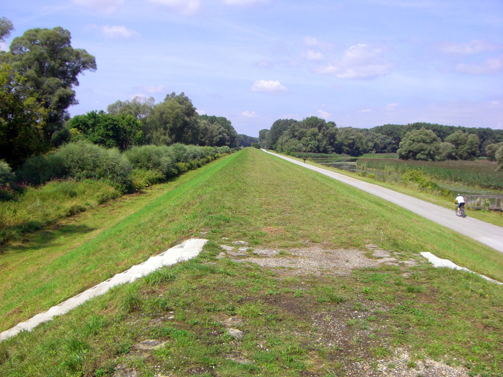 ein Schutzdamm mit Grasfläche und einem Weg, auf dem ein Radfahrer fährt