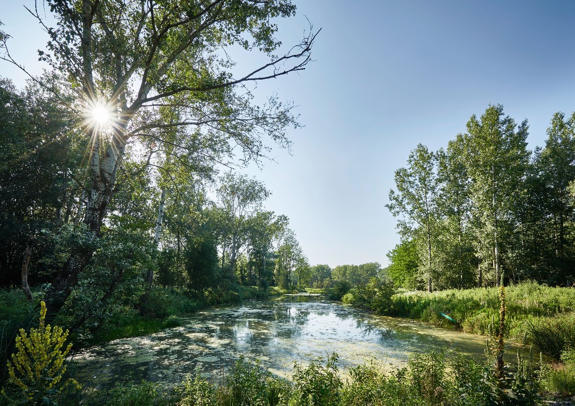 Flusslandschaft bei Altenwörth