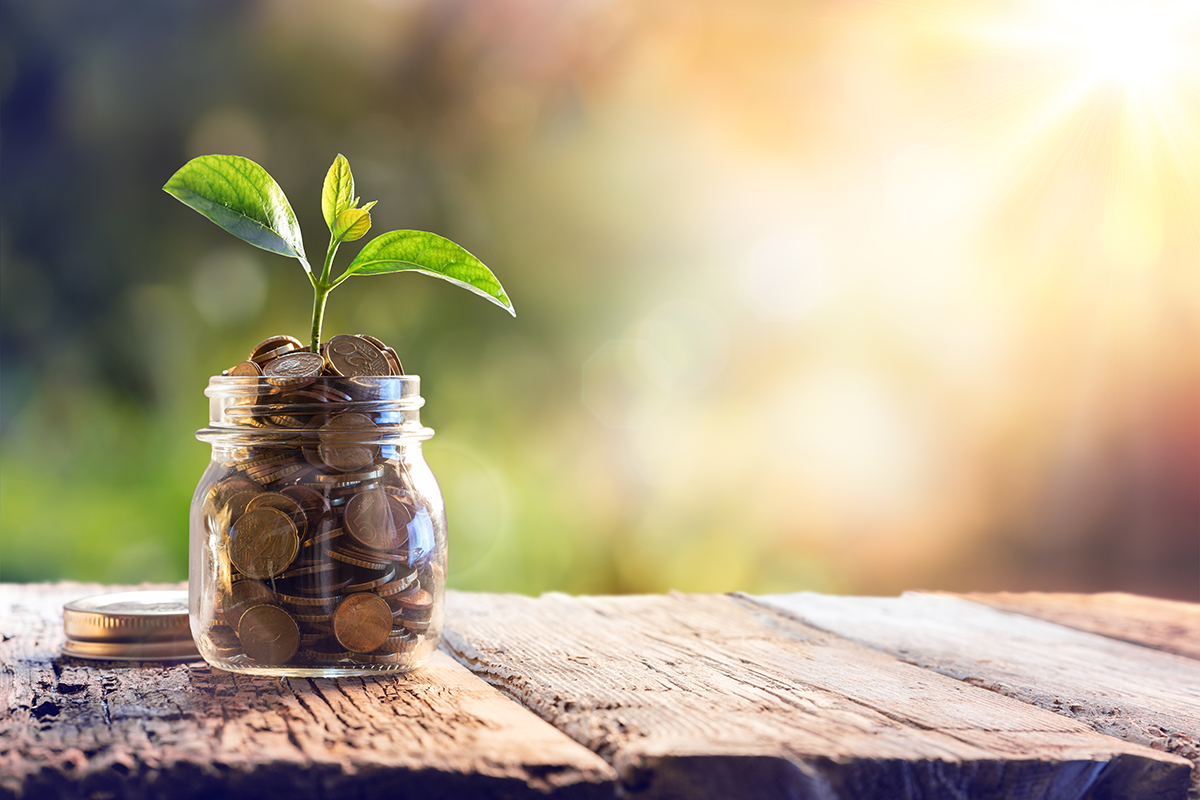 Small plant in a jar with coins