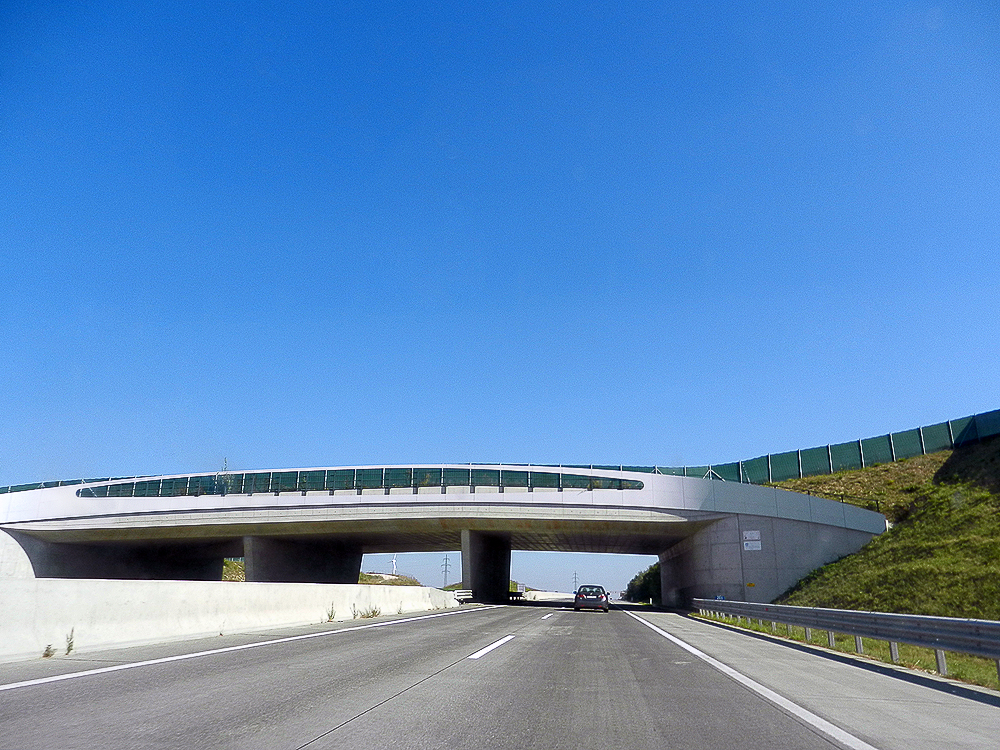 Eine Grünbrücke führt über die Autobahn
