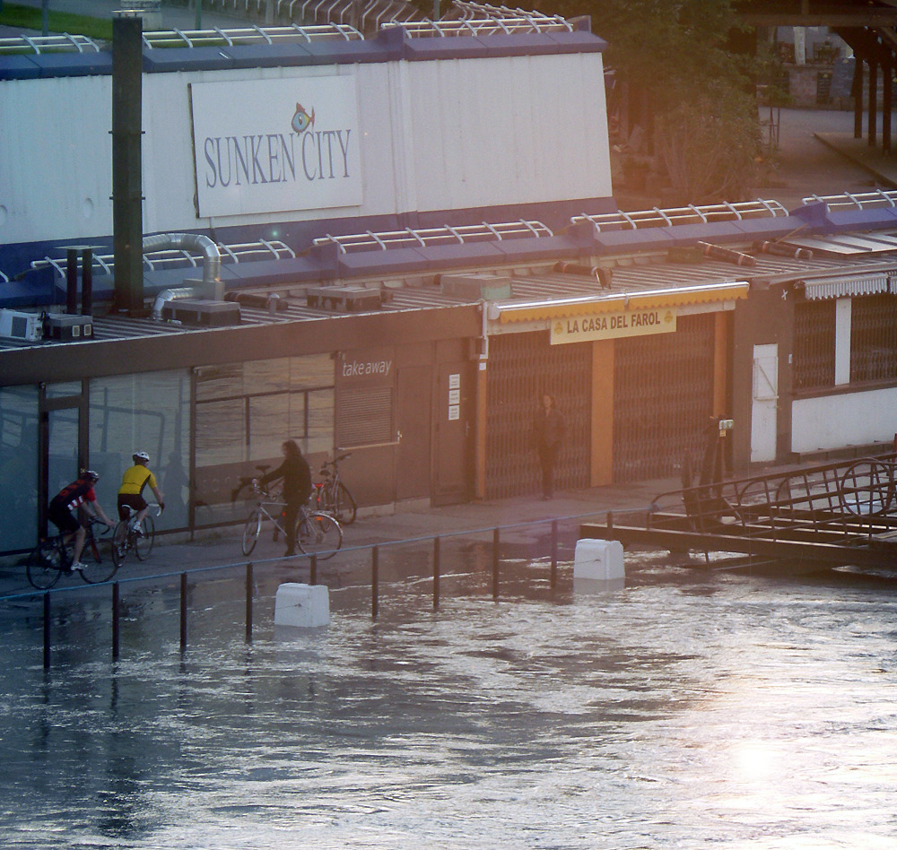 Ein Teil der Donauinsel unter Wasser
