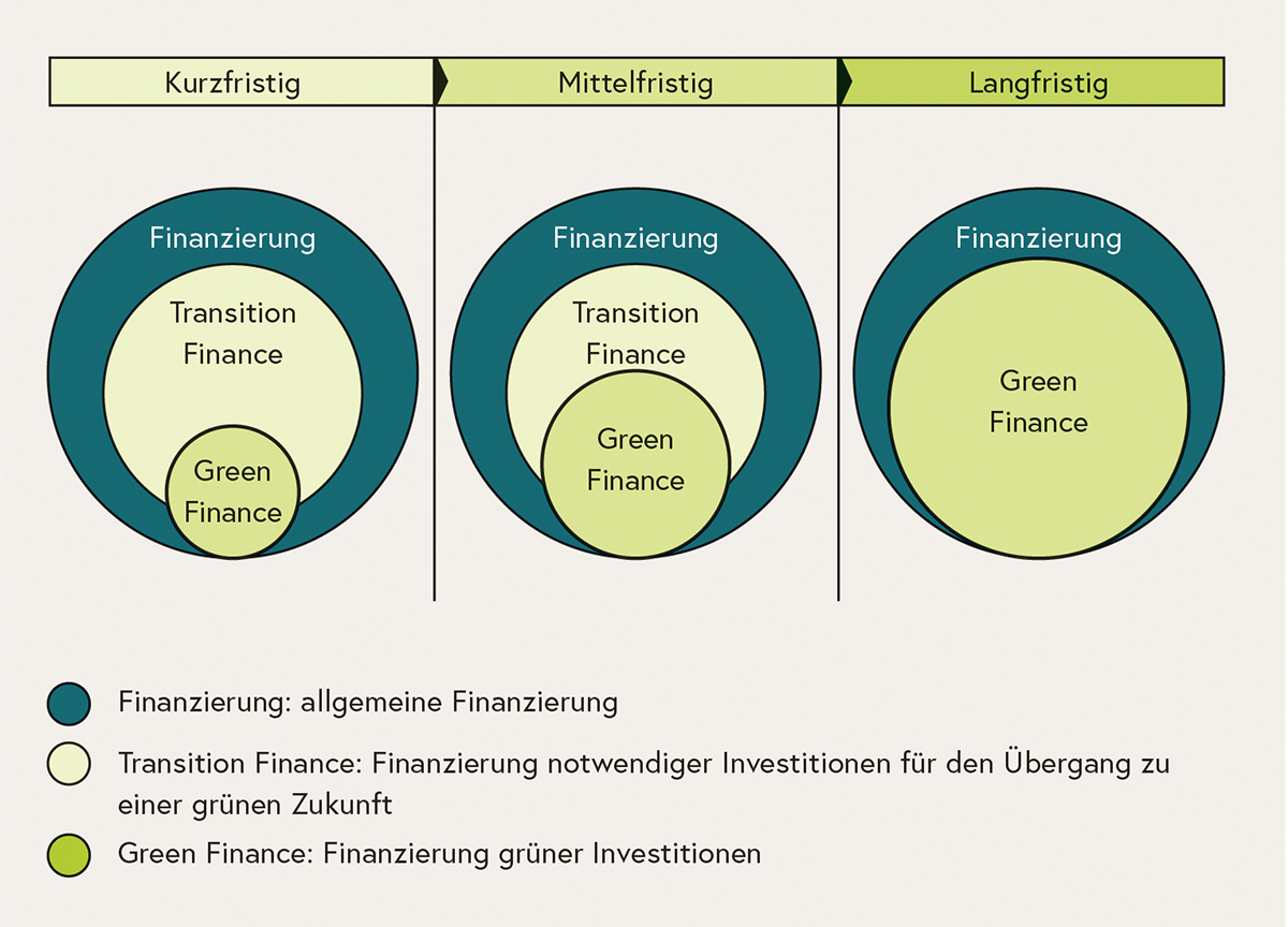 Langfristig soll sich der Anteil von Green Finance bis zu zwei Drittel des Finanzierungsbedarfs steigern und den Anteil von Transition Finance ersetzen.